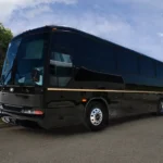 Los Angeles party bus rental